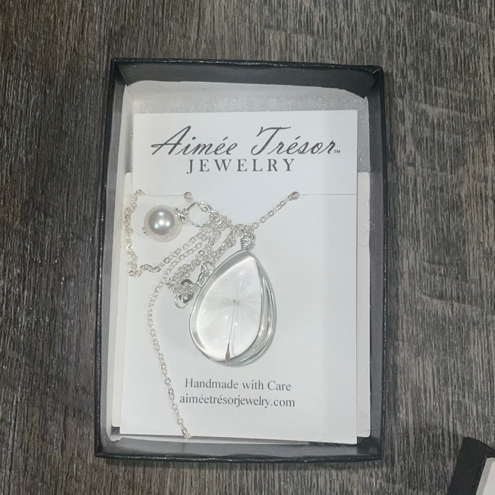 NWT Silver Wish Necklace